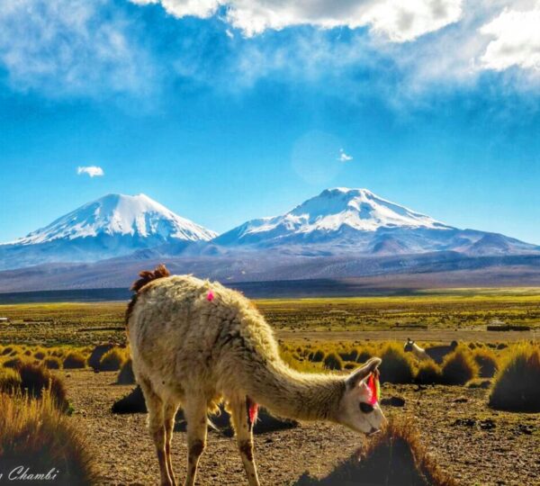 129228-1677701208356