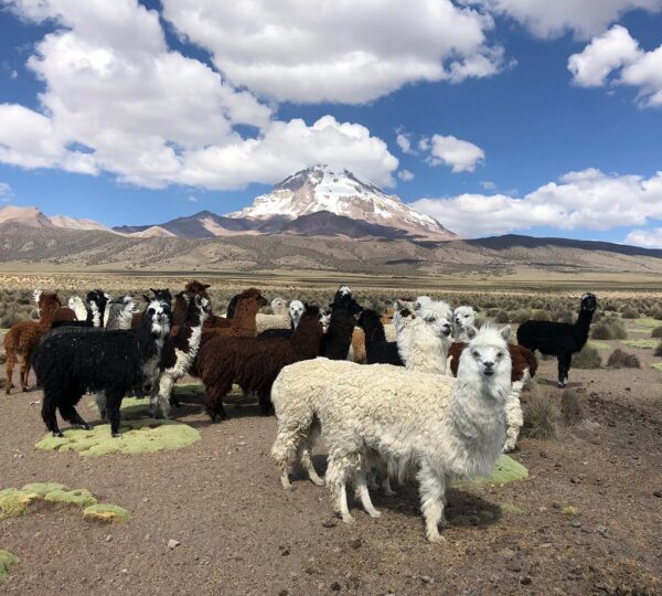 1b7f9d97bdd1000bc1da30916d182379