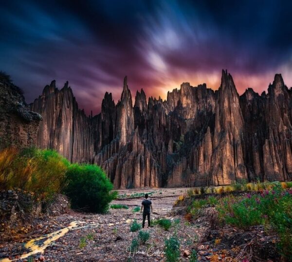 89518478_3512391975502113_1409228419639541760_n