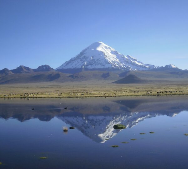 WhatsApp-Image-2020-08-02-at-13.35.16