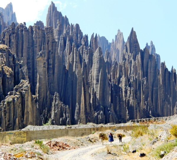 d20ef714e47e74959245dbcede030408